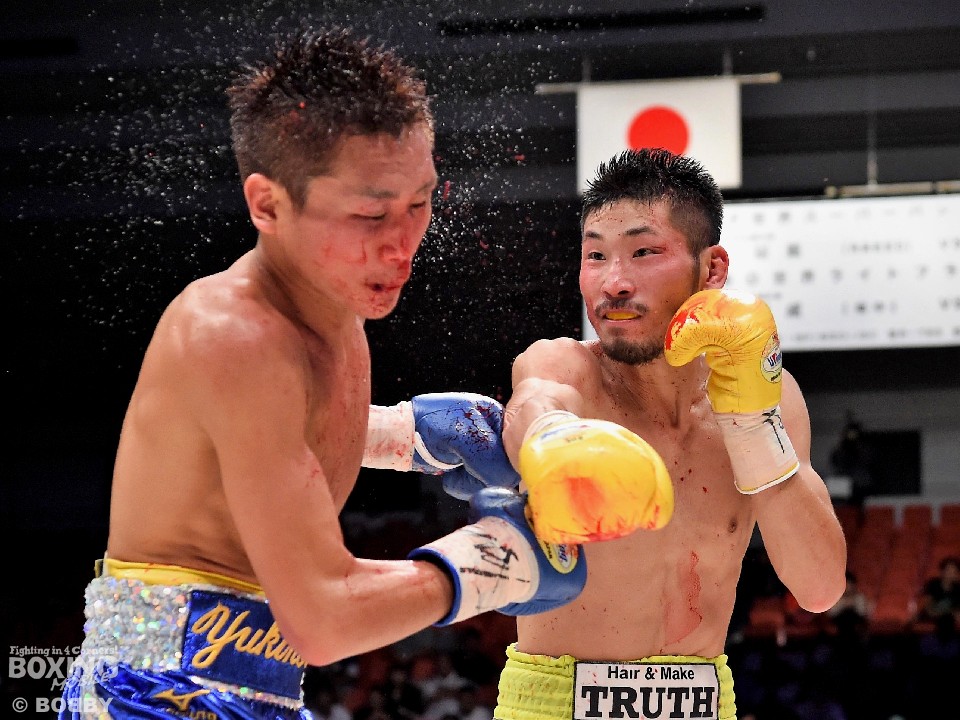 �����ȍڂƊ⍲���C�����E��ŏ���