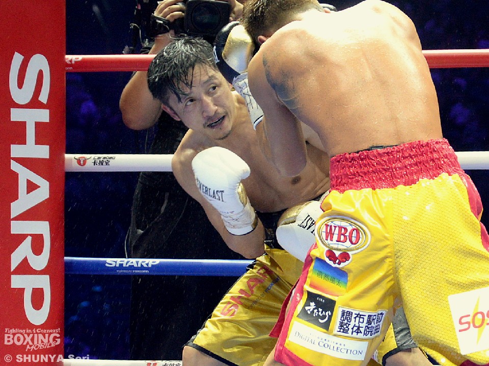 木村に王座奪取を許したゾウ