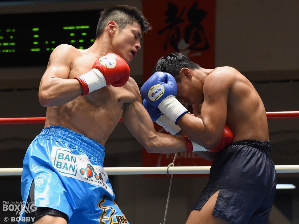 ���c�̍��{�f�B���˂��h����