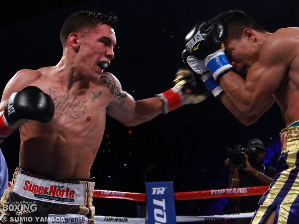 WBO �_�u�����E��ɃZ���o�j�A�o��