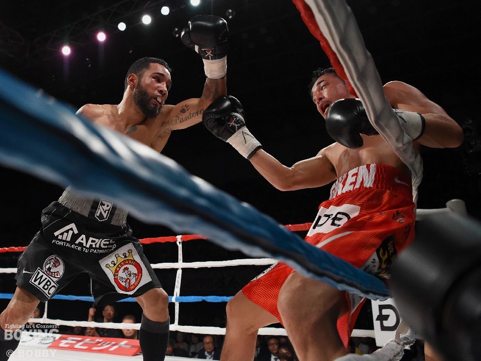 �h�[�s���O�z���̃l��