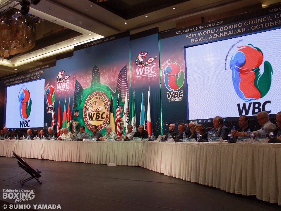 WBC�N������