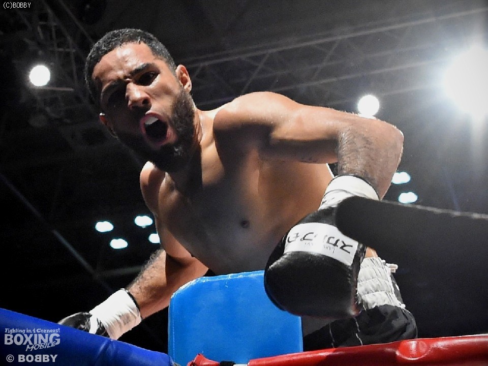 �򕨋^�f�̃l�����m���^�C�g����