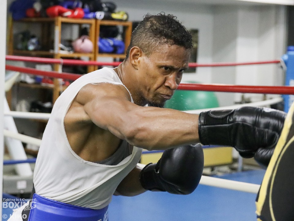 �f�B�X�e�B�m�E�W���p��(�s���[�}�n�v�n)