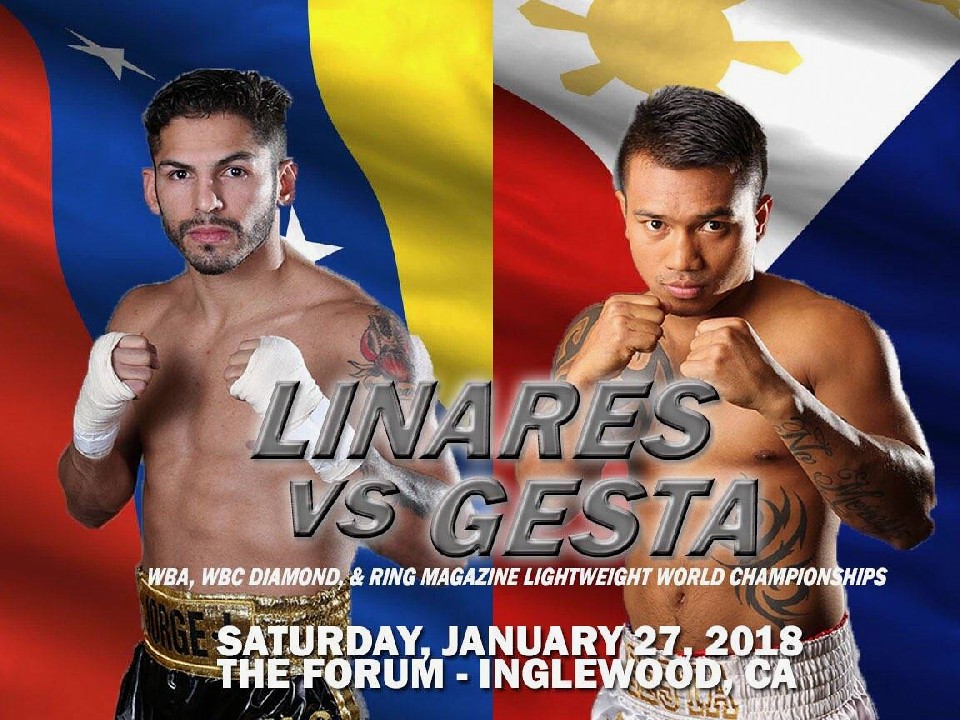 リナレスV3戦は来年1月にヘスタと