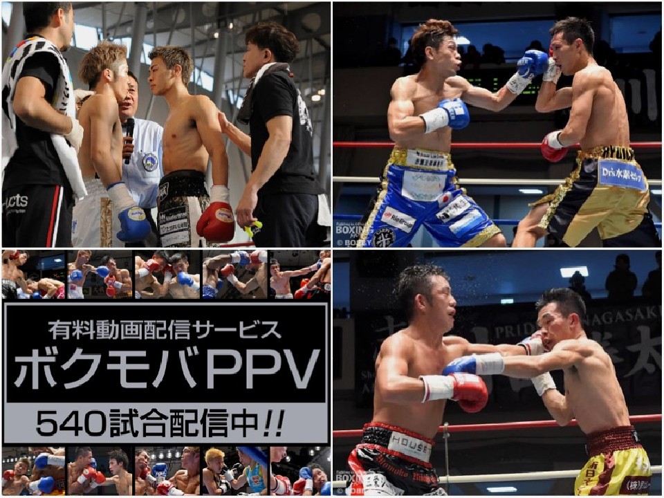 試合動画を随時更新中!