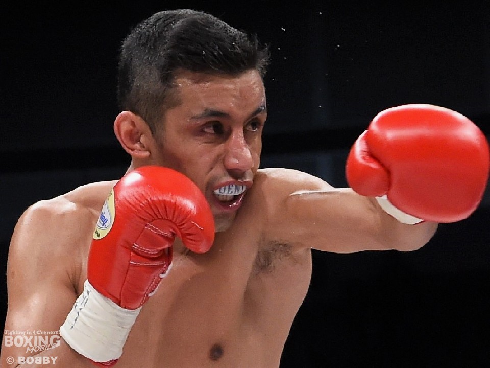 �t�G���e�X�u��Âɏ��v