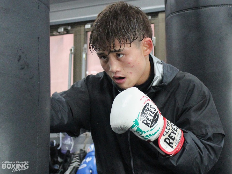 �_�C�i�}�C�g�{�[�C����A���ɖ\���!