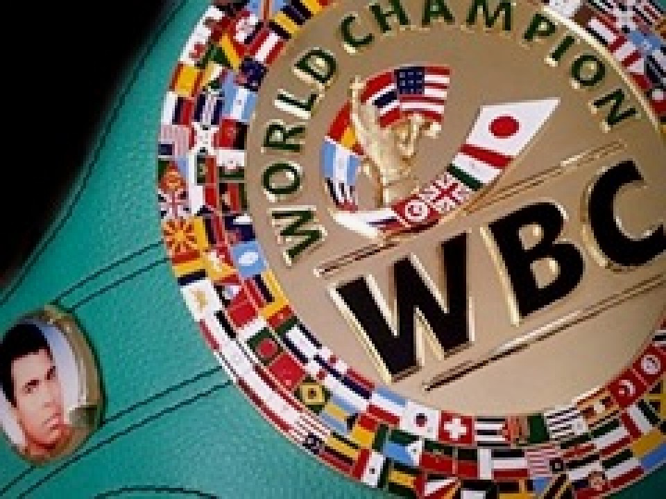 WBC(���E�{�N�V���O�]�c��)