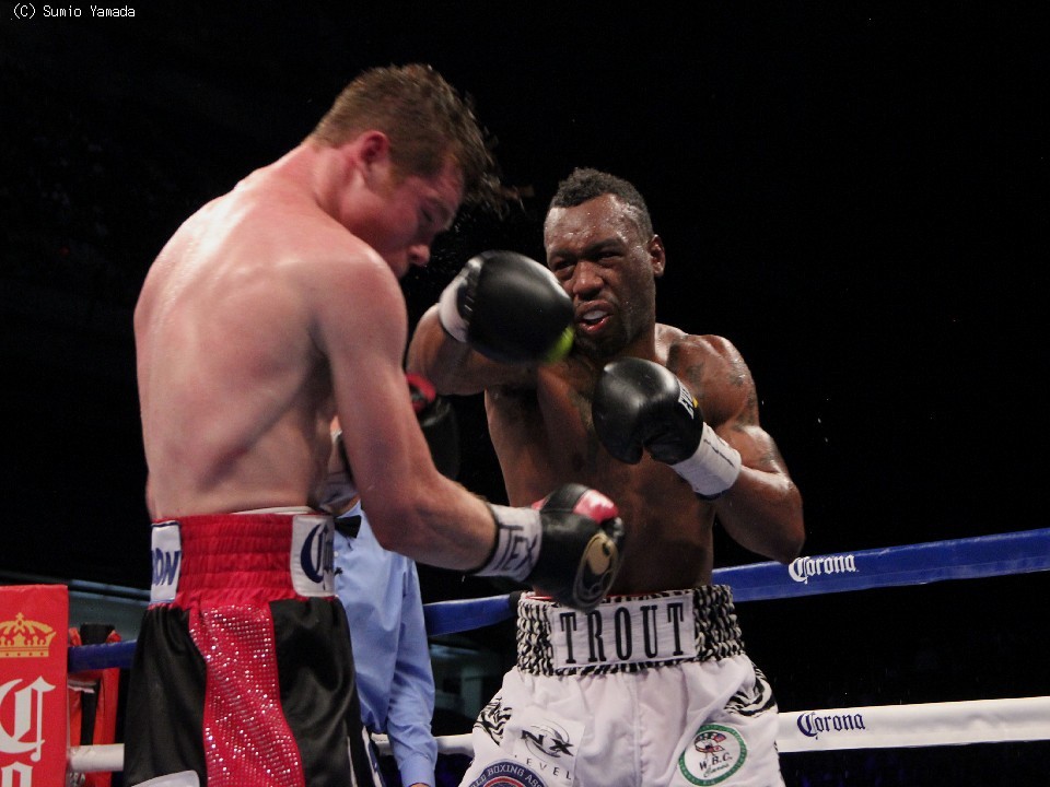 �I�萶�������������Ԃ�