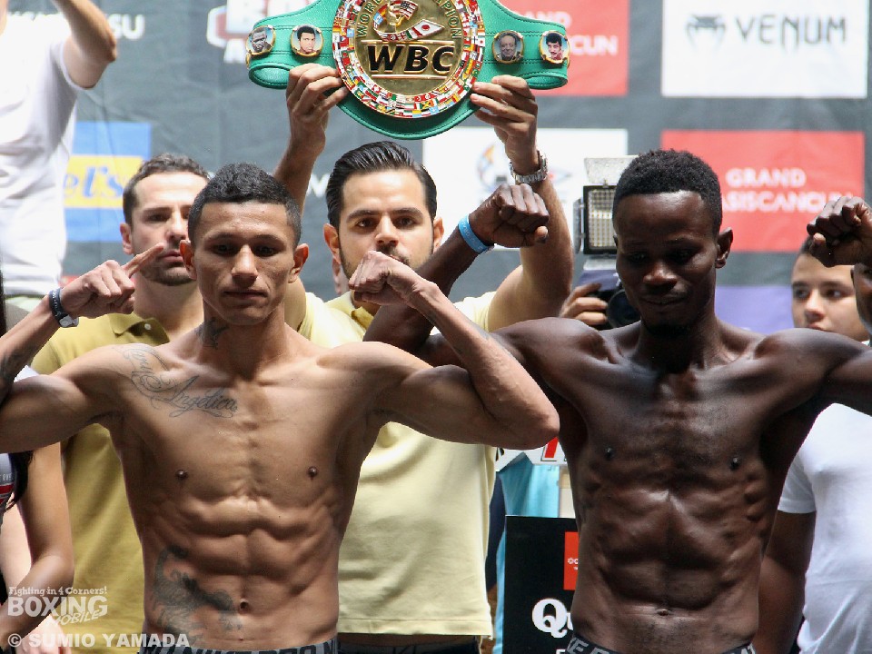 �x���`�F��vs�A�E�N WBC S�t�F�U�[����