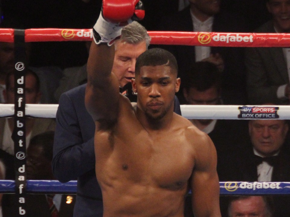 �p�[�J�[��� �Ăɕč��i�o�_���W���V���A