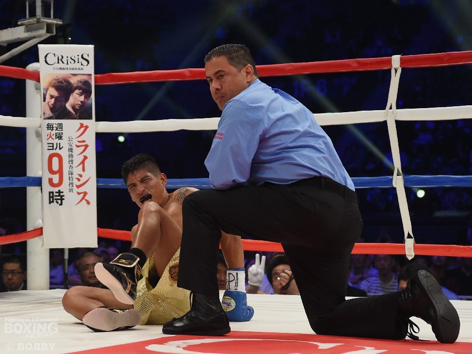 ���J���h�E���h���Q�X