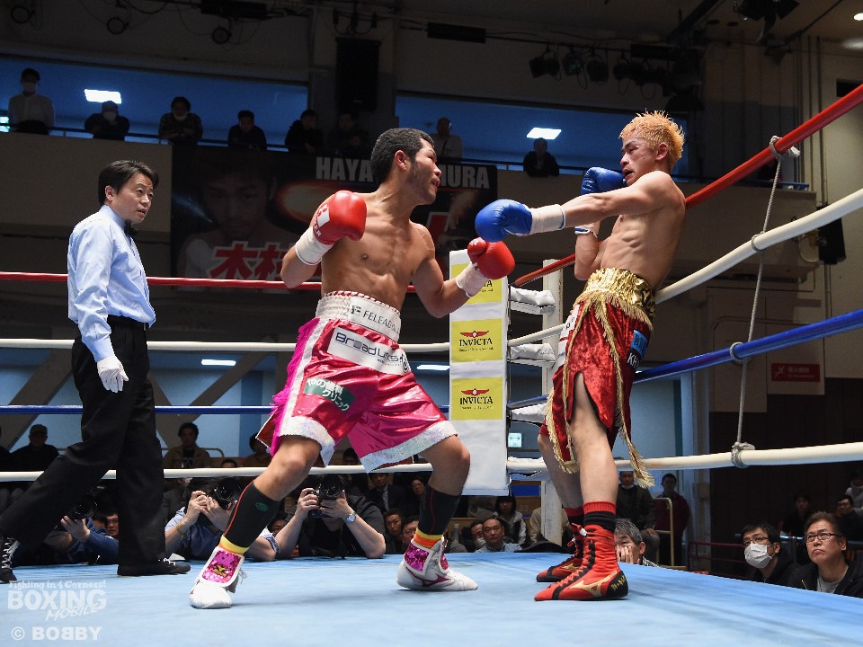 �������p���`�̌���