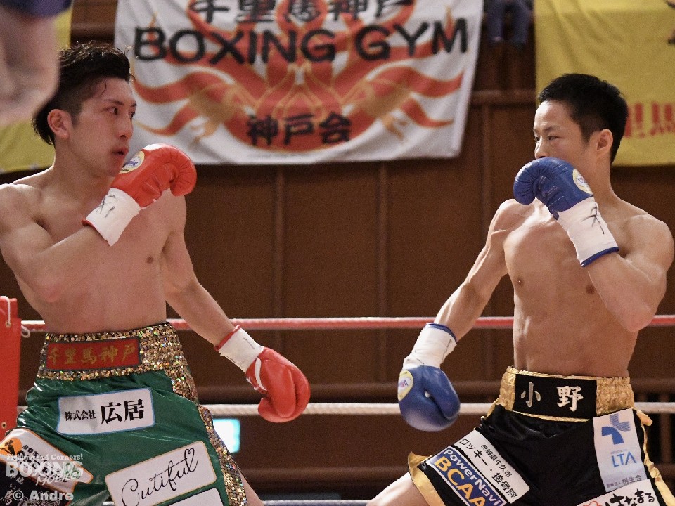 ���{�~�j�}�������������̍s����