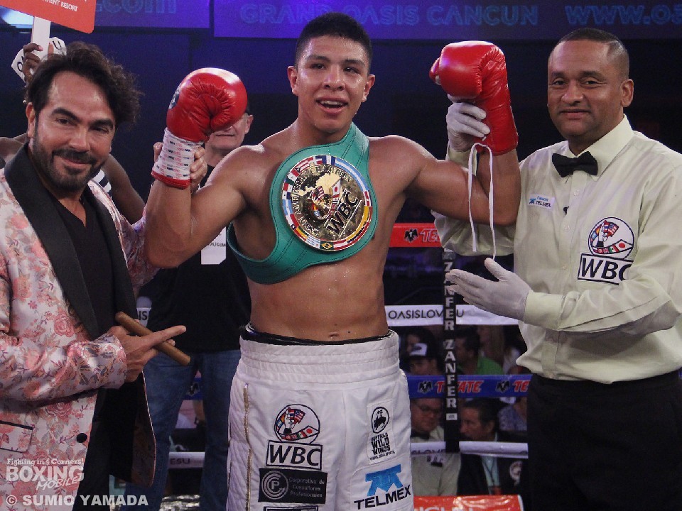 �n�C���E�����M�A�����M�̃R�����g