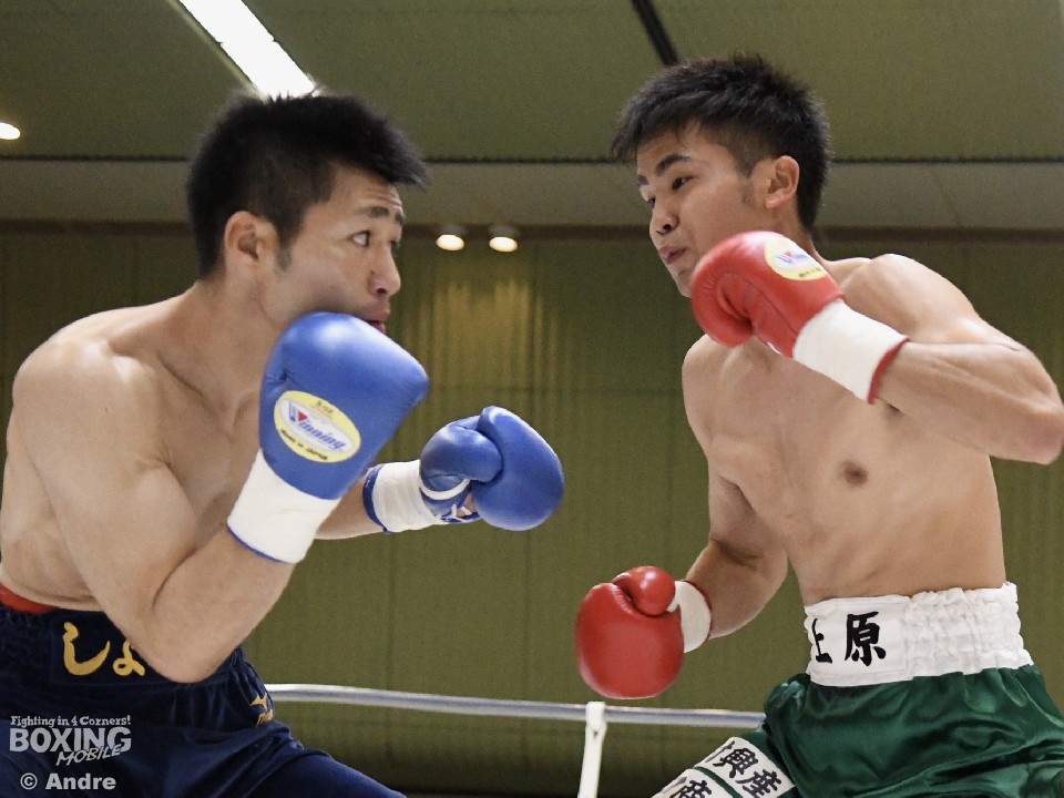 �����đ��Ə㌴���