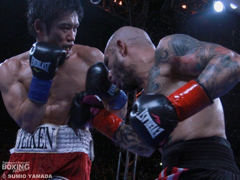 �R�b�g�킩��1�N �T�C�̕��A�킪����!