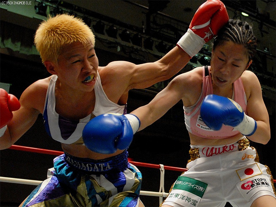 ���q�Ōy�ʋ�����Ό�������!