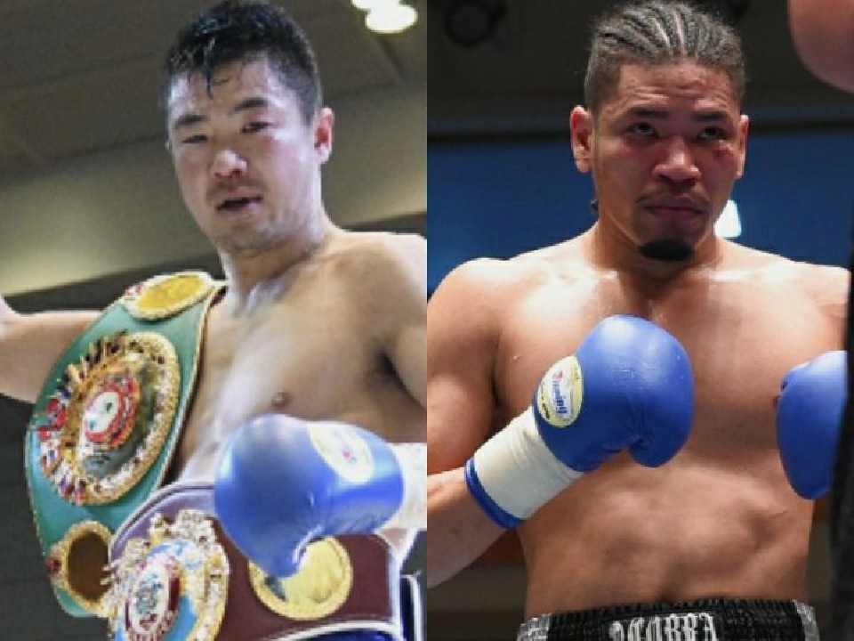 �~�h����2������ �H�R�׍K�̏��h�q�킪����!