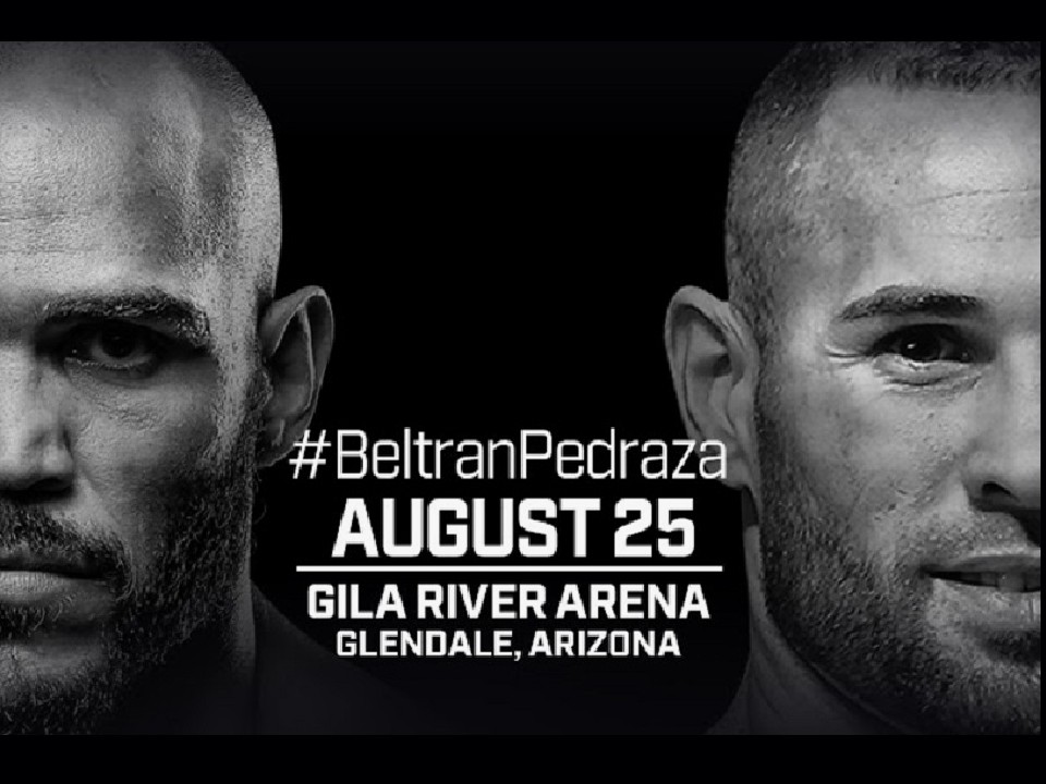 �x���g����vs�y�h���T�v��