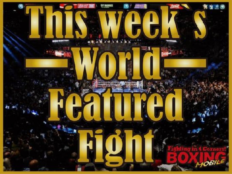 ���T�̊C�O���ڎ���