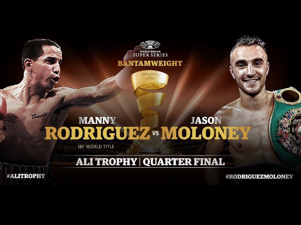 ���h���Q�Xvs�����j�[