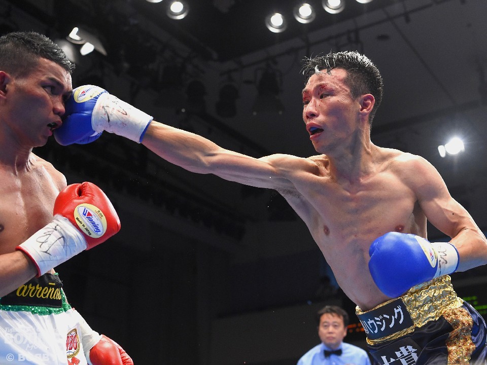 �D�䗴�ꂪ���悢�搢�E�ɉ���