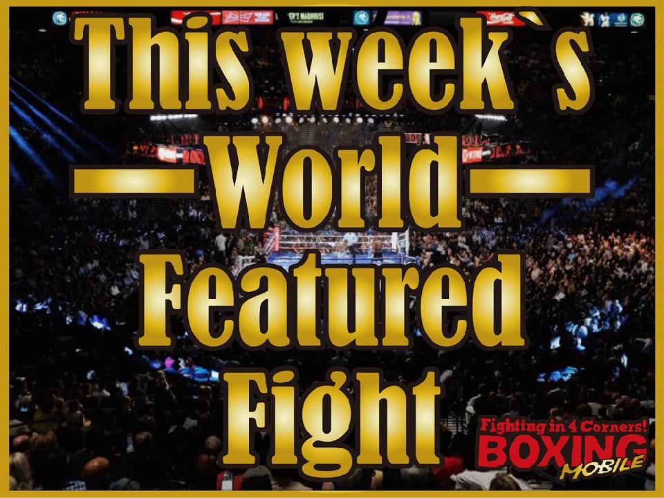 IBF�~�h�������������AWBSS�ES���C�g�����!