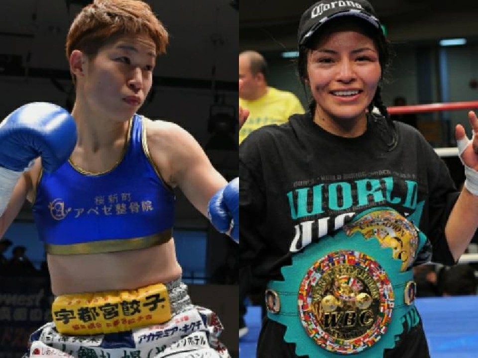 �`���I�Y���ւ����L�V�R�Ő��E����!