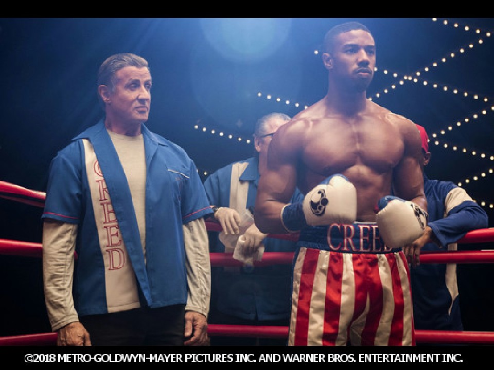 2019年1月11日(金)全国ロードショー