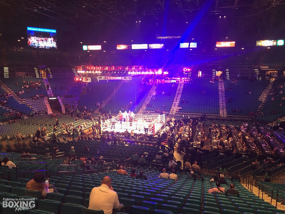 ���X�x�K�XMGM