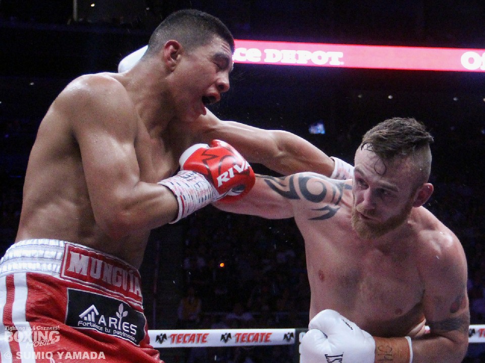 ���L�V�R�Ń����M�A�A�č��ł͏��q6����