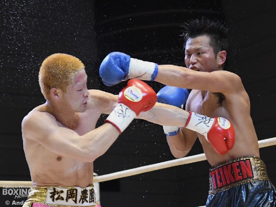 �_�E�����V�̑Ō���ɑ��͑�M��