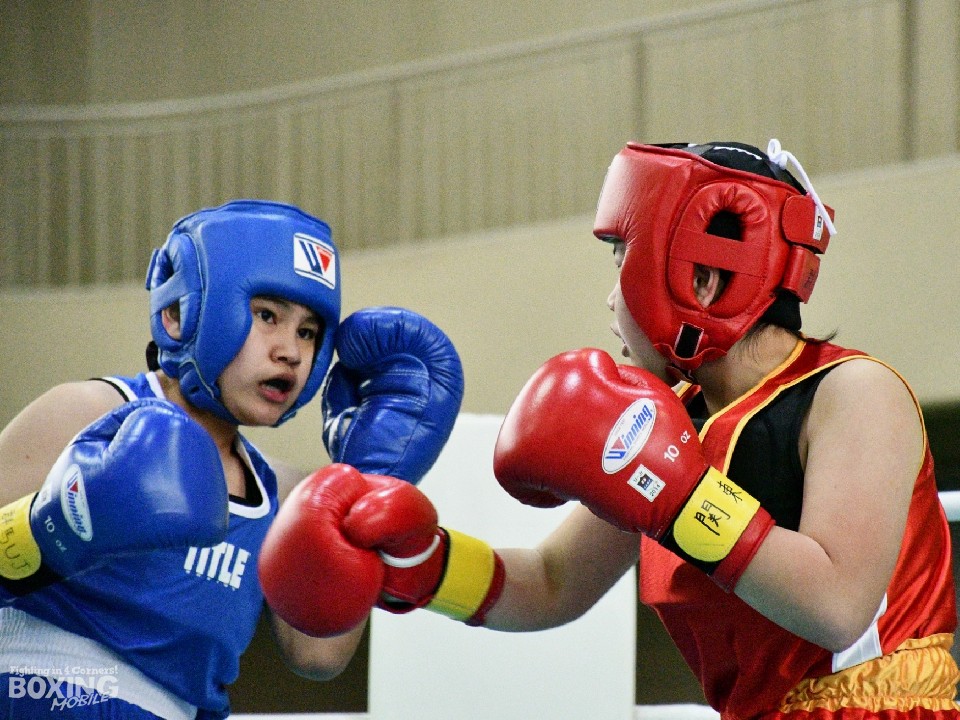 ���{�ł͏��w�����狣�Z���������݂���