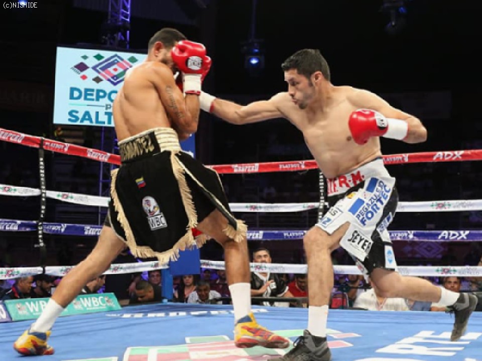 �E:�S���T���X��78��ڂ̃����O