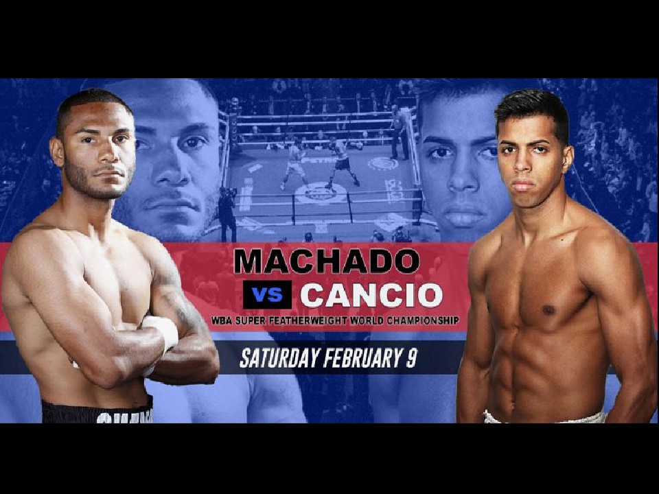 ����̃J���t�H���j�A