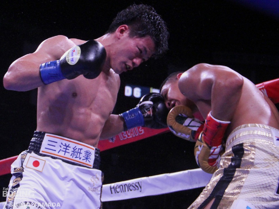 ���x�u�̍ċN�킪WBO�A�W�A�Ɍ���