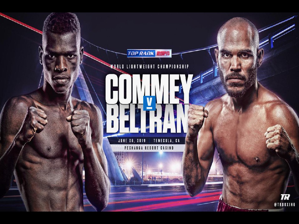 �R�[���Cvs�x���g����