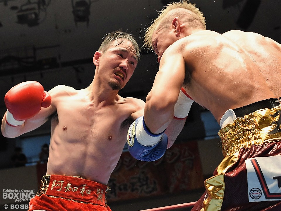 �Z�~�t�@�C�i���͗��Ő�