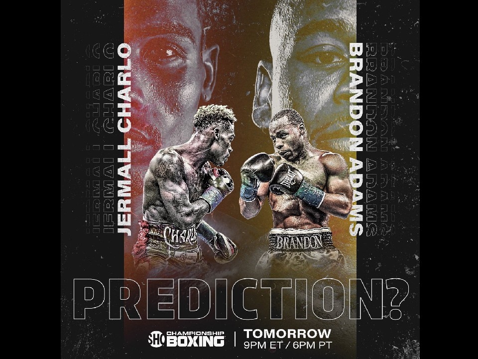 WBC�~�h�������K�^�C�g���}�b�`