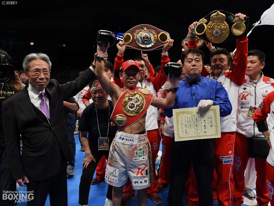 �A�}���w��������4�c�̐��e����