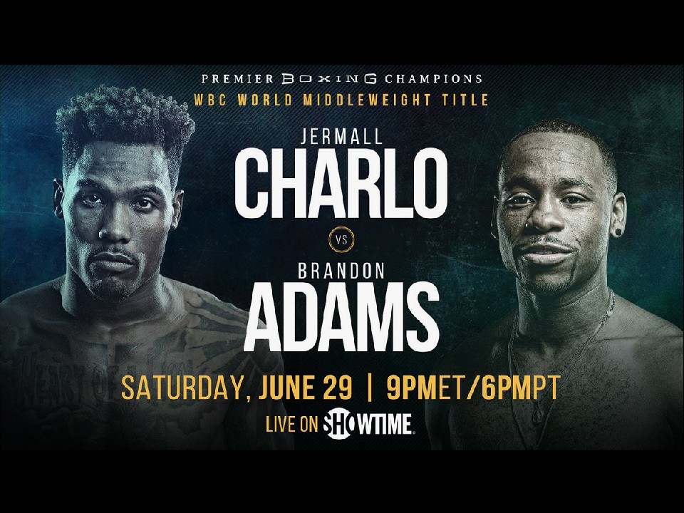 WBC���K�~�h�����^�C�g���}�b�`�Ɋi�グ