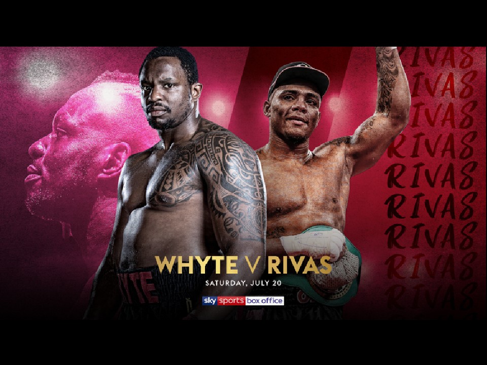 WBC���E�w�r�[�����������