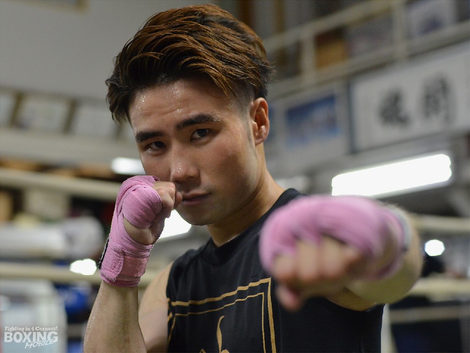 ���{����������̑��