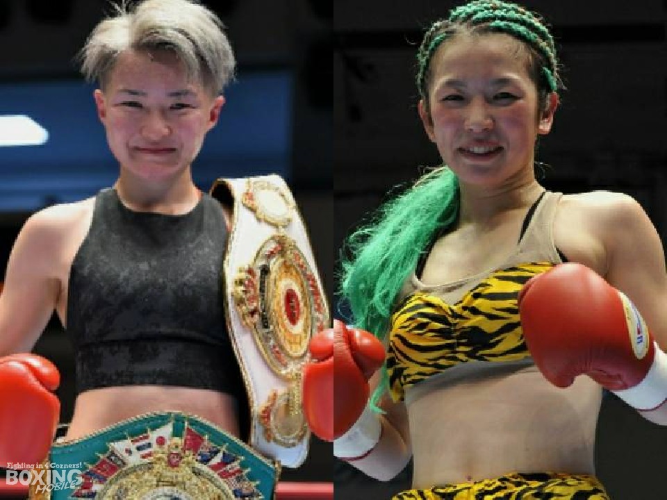 ���c�b���̓��{����V1�팈��