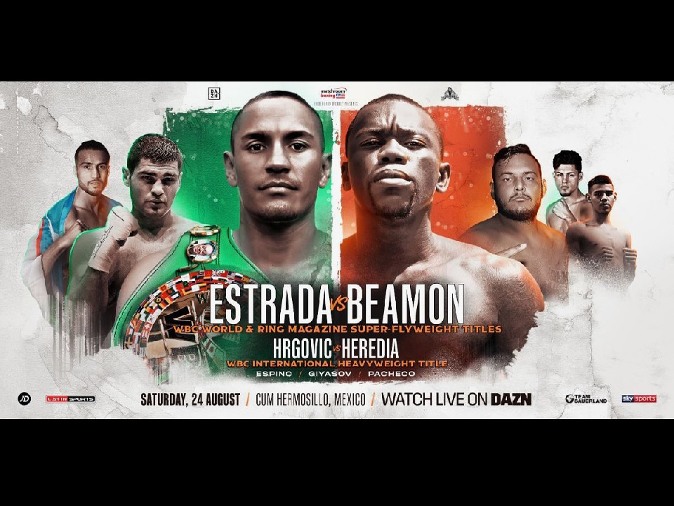 WBC���E�X�[�p�[�t���C���^�C�g���}�b�`