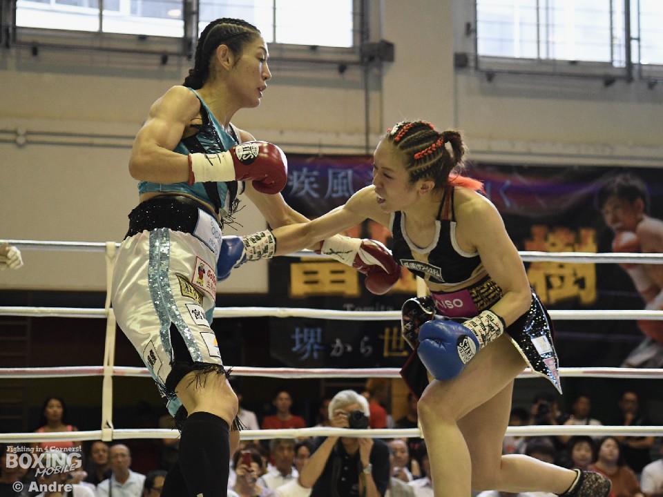 ��s�Ŕ���������