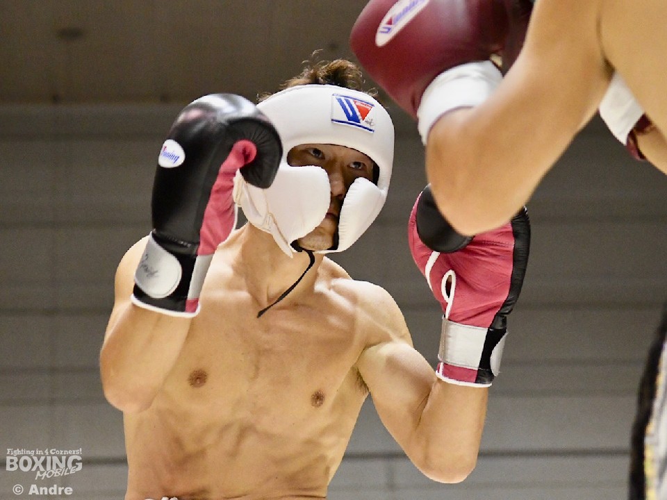 �v�c�N��u�ł������Đ��E���l��v