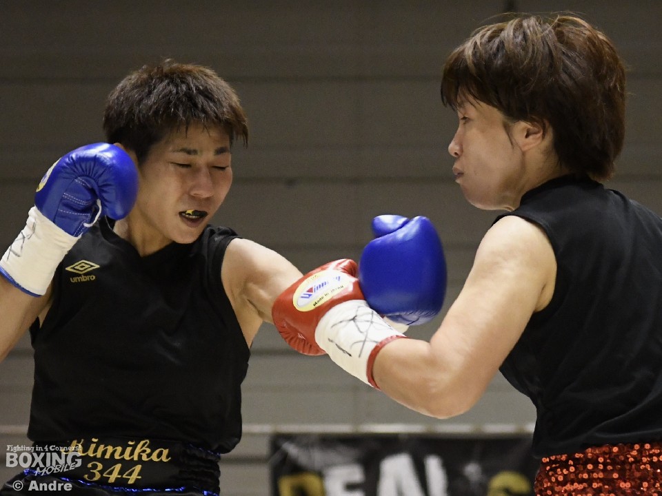 ���{���q�t�F�U�[��������͑ł�����!